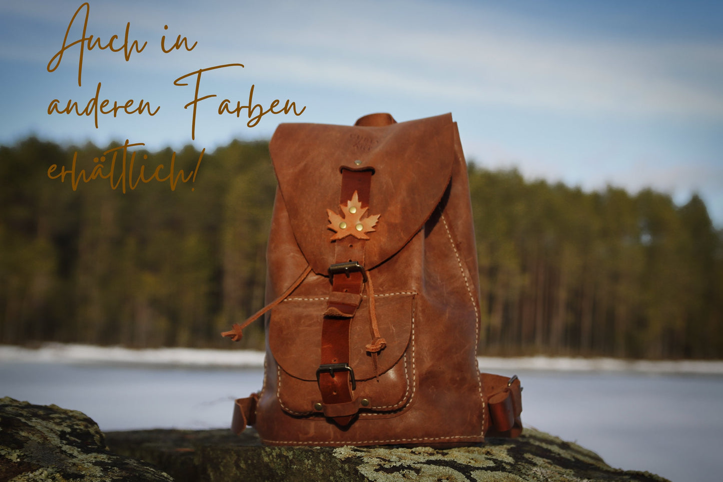 Small leather backpack with inner pocket