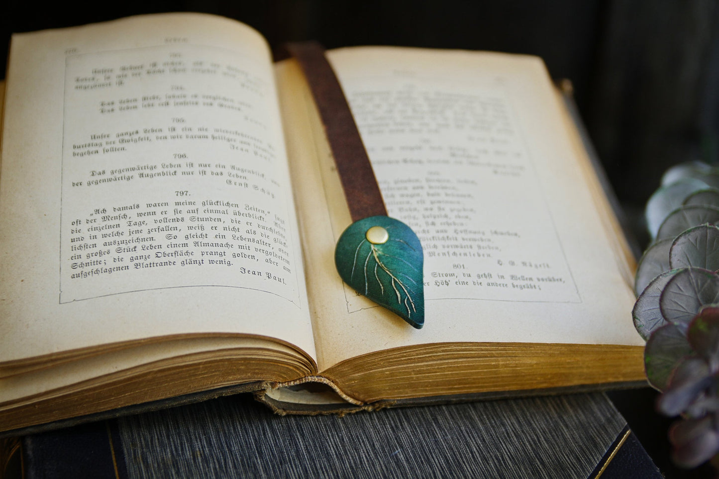 Bookmark, bookmark ribbon with leaf