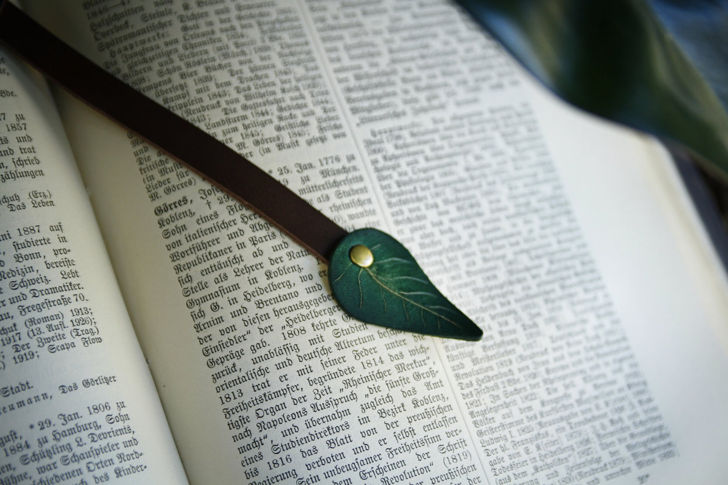 Bookmark, bookmark ribbon with leaf